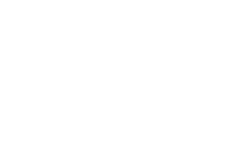 Steam